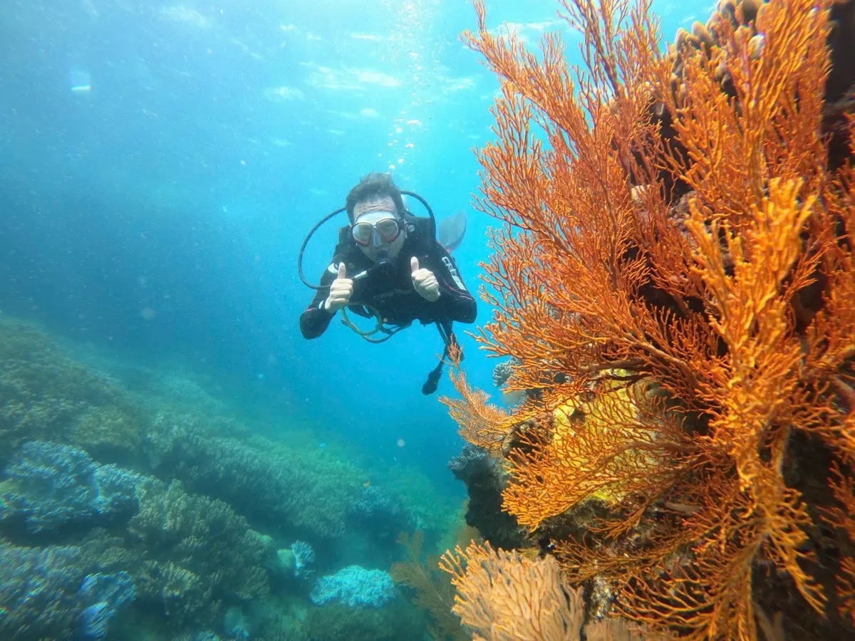 Du khách lặn biển tại Nha Trang