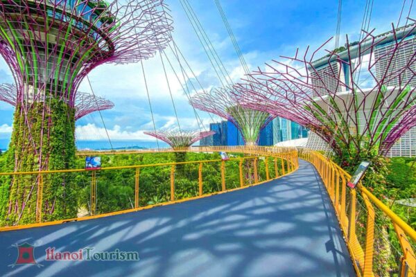 Tour Singapore - Malaysia (2 trong 1) - Bay Vietnam Airlines & Malaysia Airlines - Từ Hà Nội - Ảnh 12